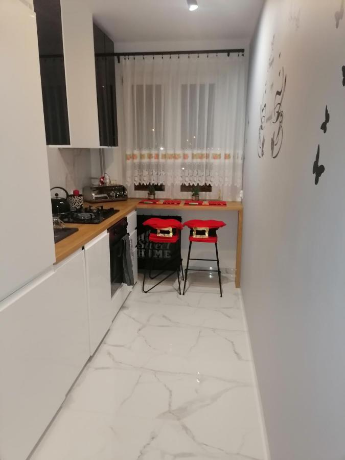 Apartament Terebelska P ビャワ・ボドラスカ エクステリア 写真